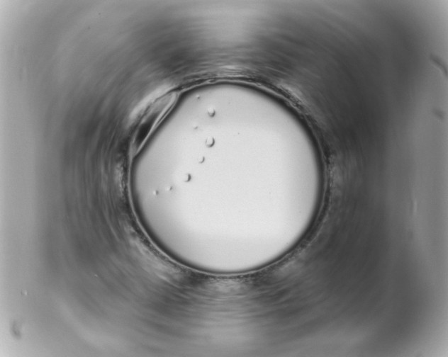 X0000102291402200808151941