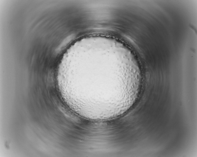 X0000102291403200808151941