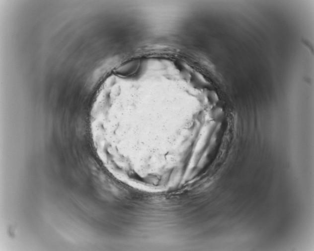 X0000102291405200808151941