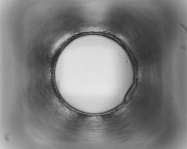 X0000102291406200808151941