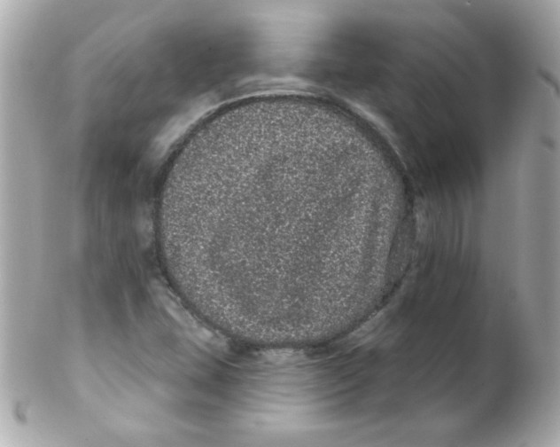 X0000102291407200808151941