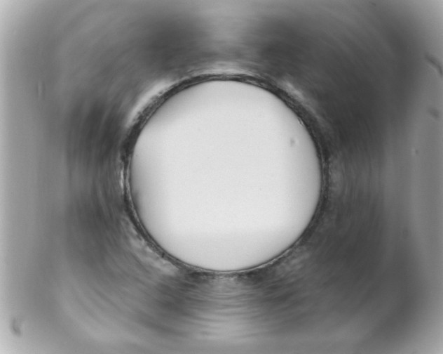 X0000102291408200808151941