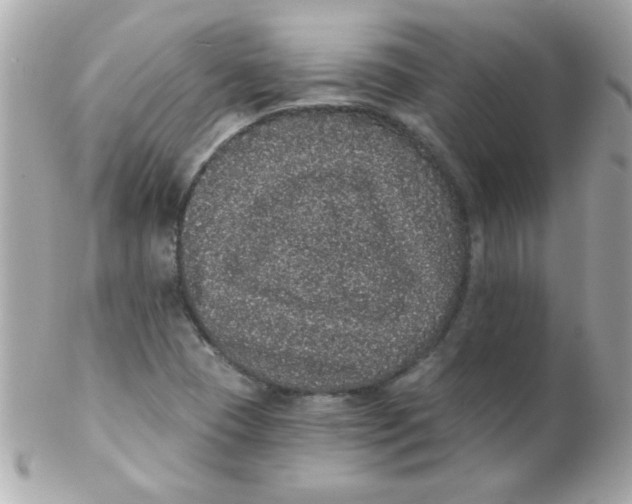 X0000102291409200808151941