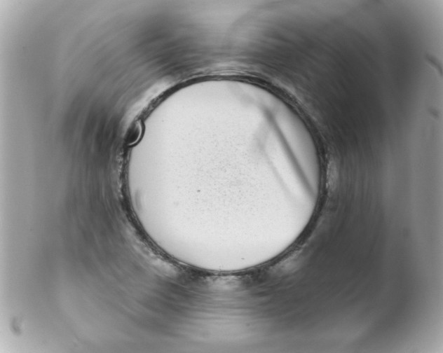 X0000102291410200808151941