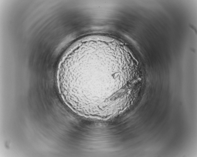 X0000102291411200808151941