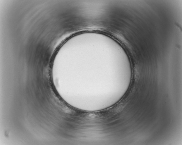 X0000102291412200808151941