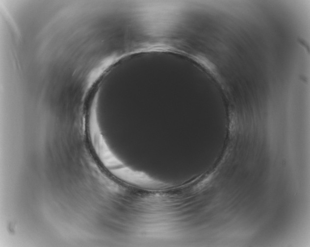 X0000102291414200808151941