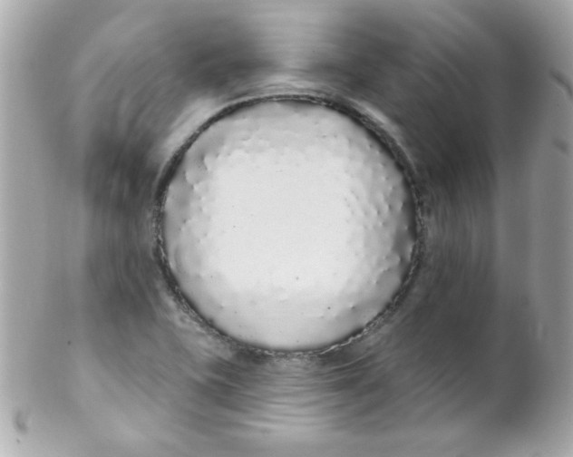 X0000102291415200808151941