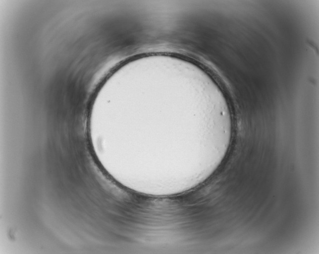 X0000102291416200808151942