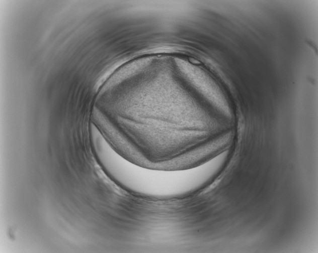 X0000102291417200808151942