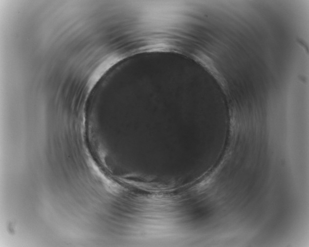 X0000102291418200808151942