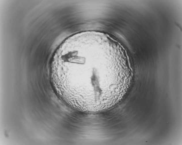 X0000102291419200808151942