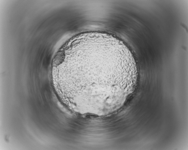 X0000102291421200808151942