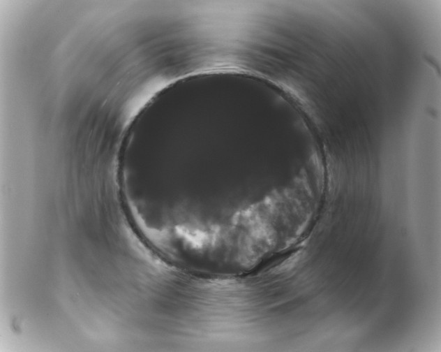 X0000102291422200808151942