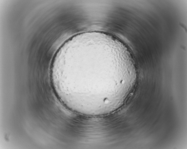 X0000102291423200808151942