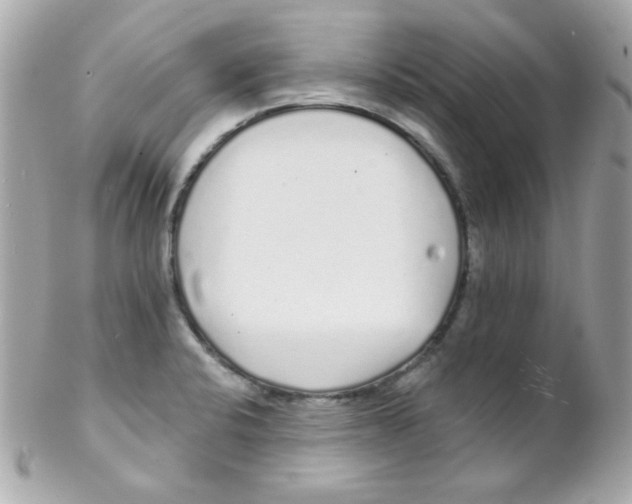 X0000102291424200808151942