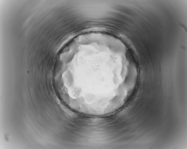 X0000102291425200808151942