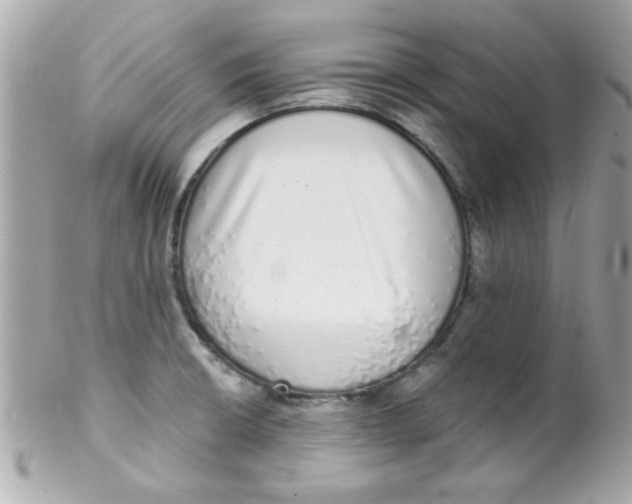 X0000102291426200808151942