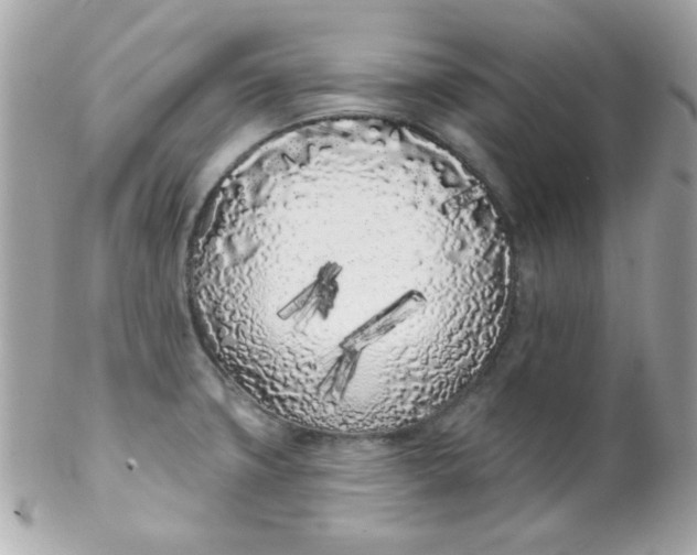 X0000102291427200808151942