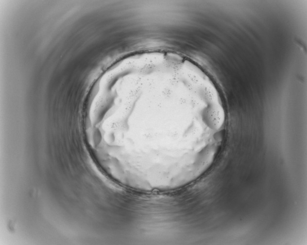 X0000102291429200808151942