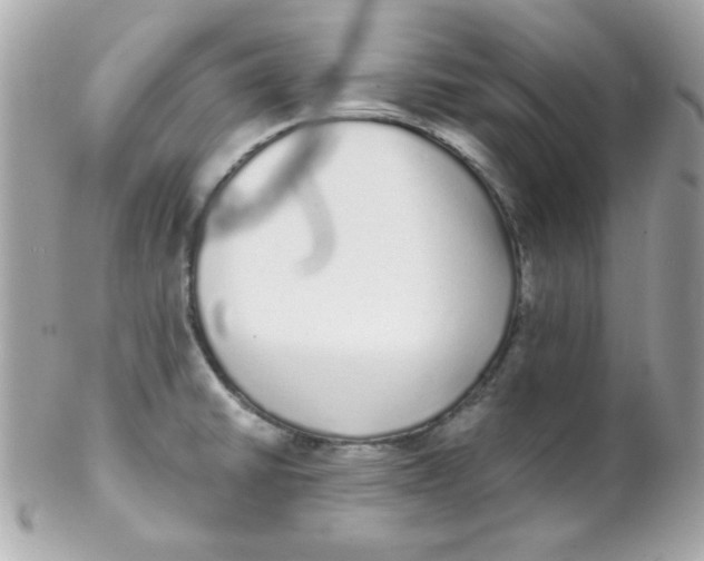 X0000102291430200808151942