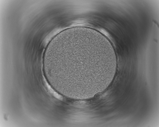 X0000102291431200808151942