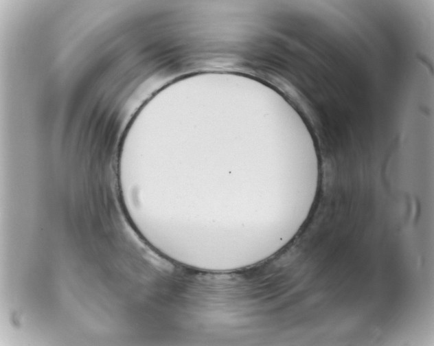 X0000102291432200808151942