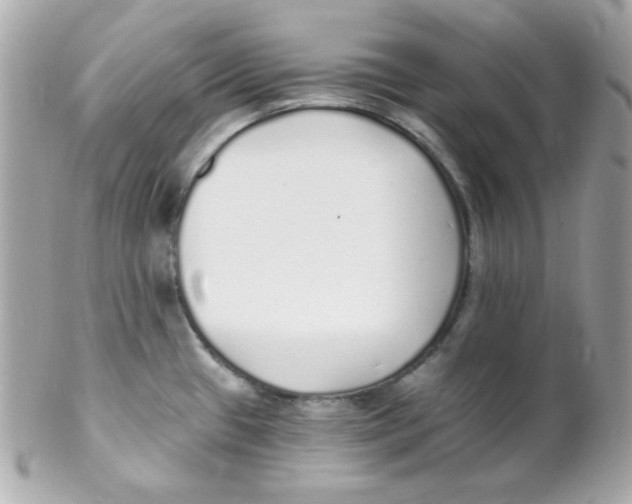 X0000102291433200808151942