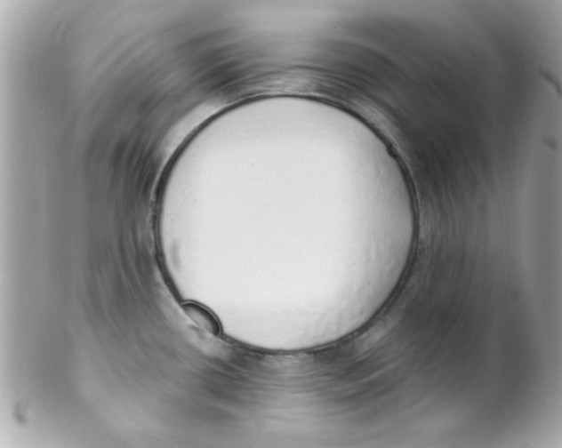 X0000102291434200808151942