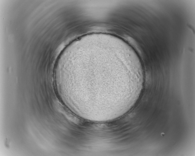 X0000102291435200808151942