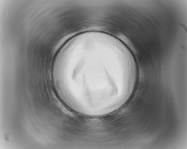 X0000102291436200808151942