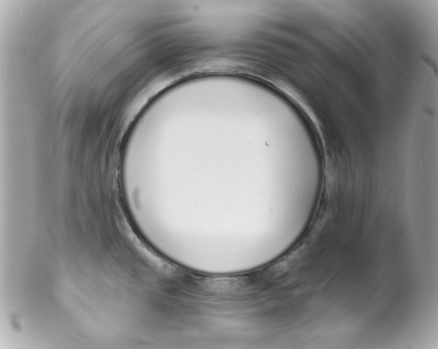 X0000102291437200808151942