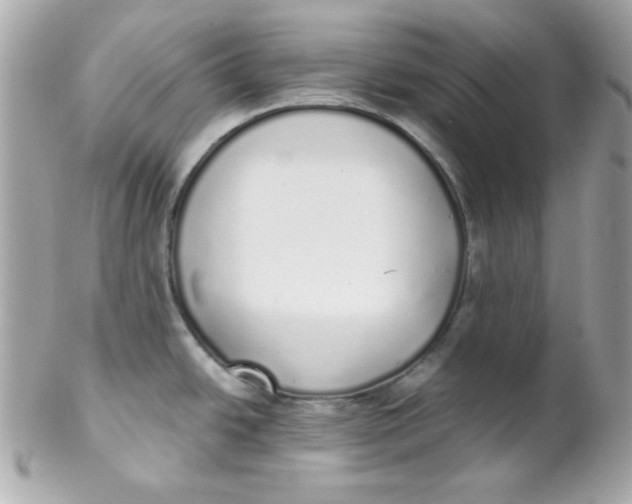 X0000102291438200808151942