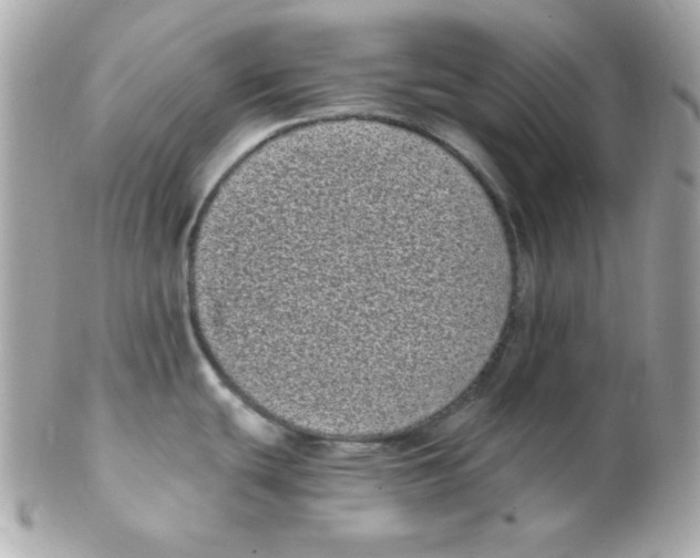 X0000102291439200808151942