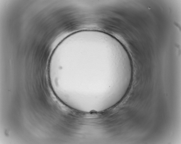 X0000102291440200808151942