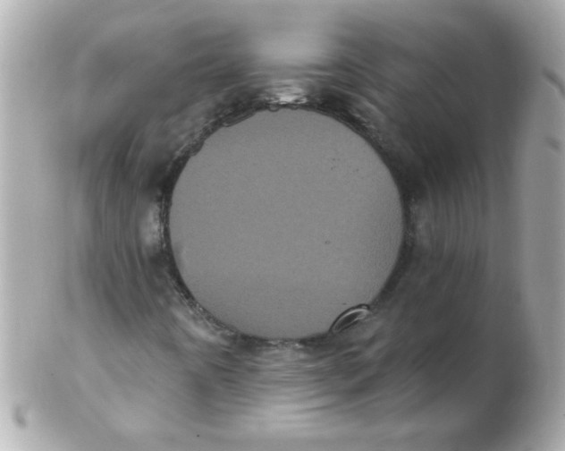 X0000102291442200808151941