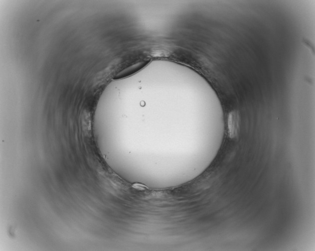 X0000102291443200808151941