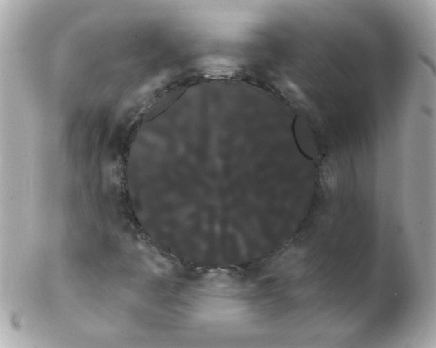 X0000102291445200808151941