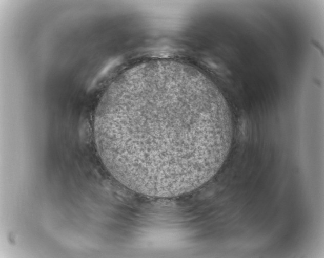 X0000102291446200808151941