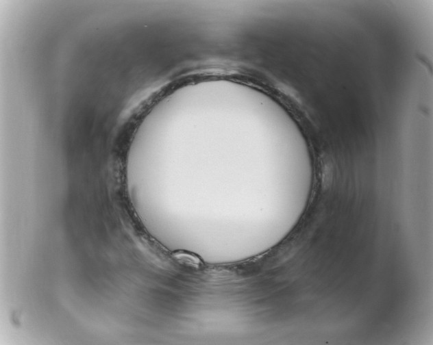 X0000102291448200808151941