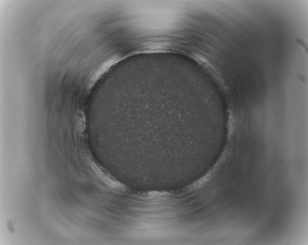 X0000102291449200808151941