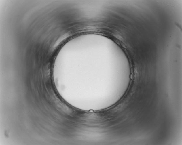 X0000102291450200808151941