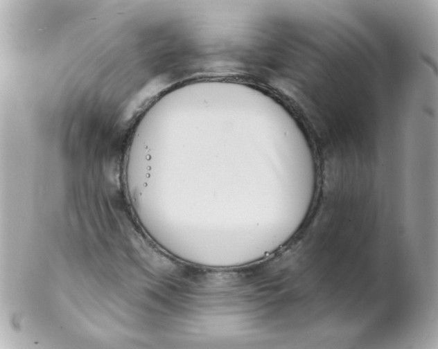 X0000102291451200808151941