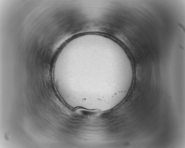 X0000102291452200808151941