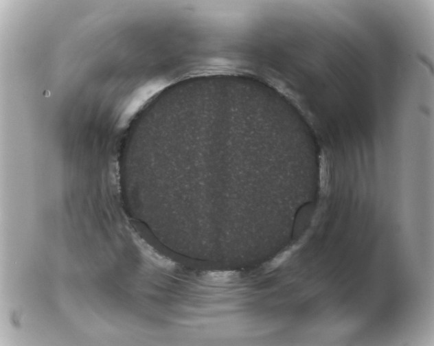 X0000102291453200808151941