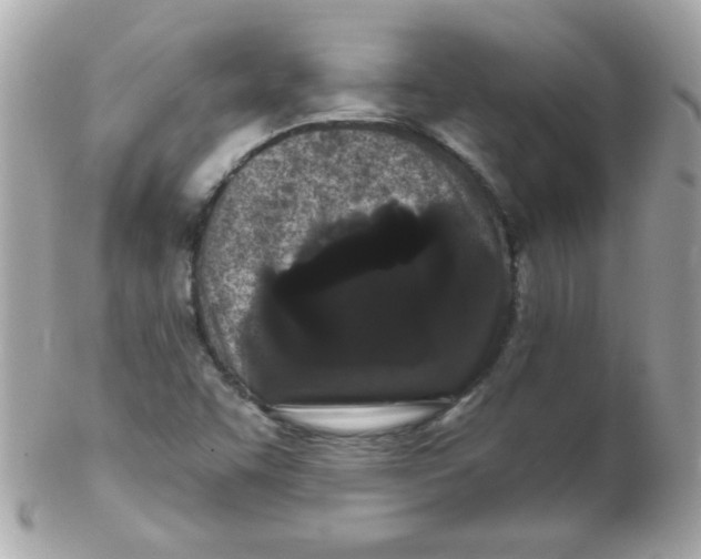 X0000102291455200808151941