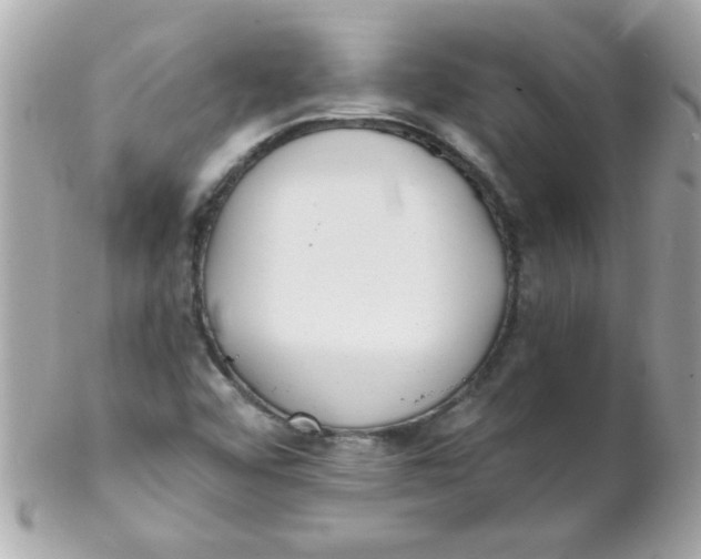 X0000102291456200808151941