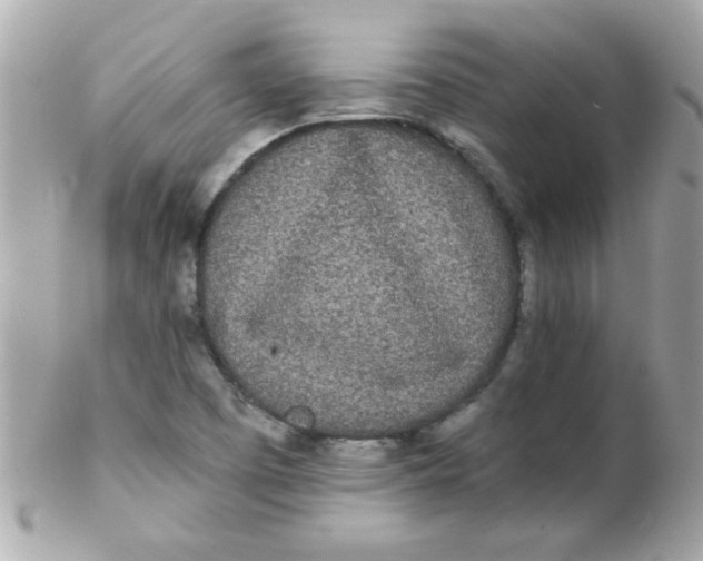 X0000102291457200808151941