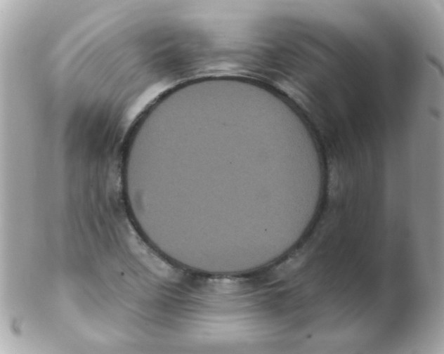 X0000102291458200808151941