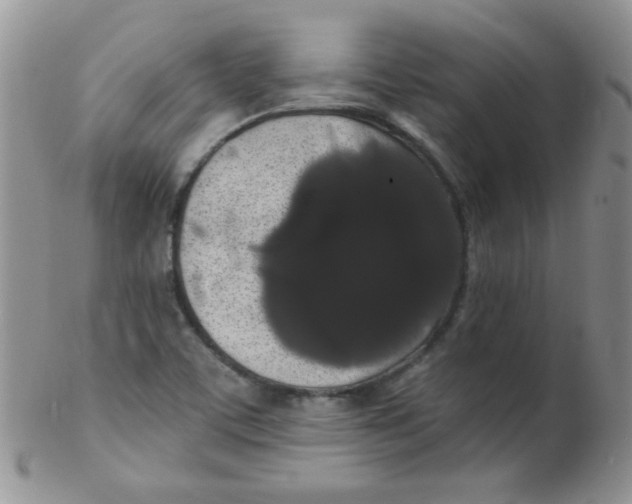 X0000102291459200808151941